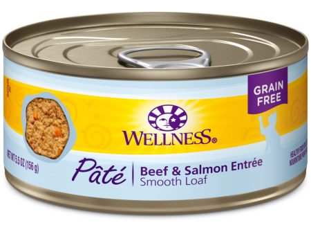 20% OFF: Wellness Complete Health Beef & Salmon Pate Grain-Free Canned Cat Food 5.5oz Online now