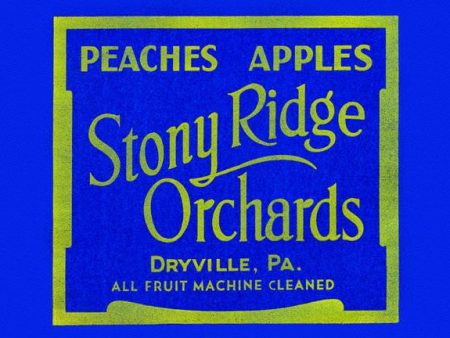 Stony Ridge Orchards Peaches & Apples 28x42 Giclee on Canvas on Sale