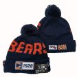 CHICAGO BEARS New Era 2019 Cold Weather Knit Hat For Sale