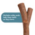 Zeus NOSH Flavoured Chew Toys Tasty Trio Online