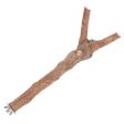 Happt Pet Bird Branch Perch 3 Sizes For Discount