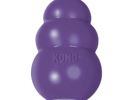 KONG Senior Online now