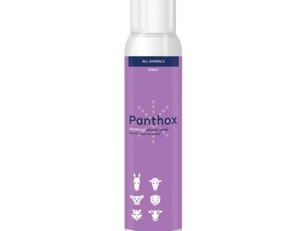 Panthox Spray (Gentian Violet) 200ml For Cheap