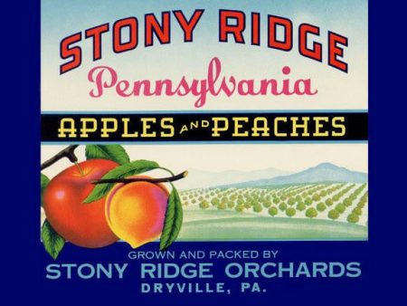 Stony Ridge Pennsylvania Apples and Peaches 28x42 Giclee on Canvas Online Hot Sale